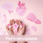Perimenopause verstehen: Symptome, Ursachen & Hilfe Hände halten eine rosa Gebärmutter-Illustration, umgeben von Symbolen für Gehirn, Herz, Leber, Nieren und Lunge – Darstellung hormoneller Veränderungen in der Perimenopause.